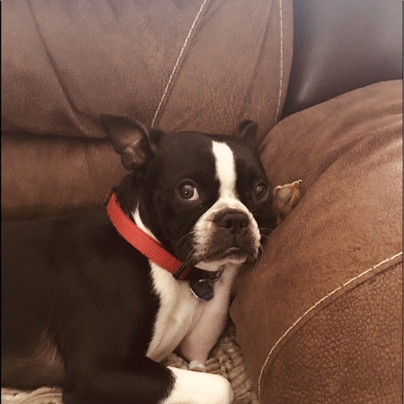 Meet your Posher, Dana - Picture 1 of 1